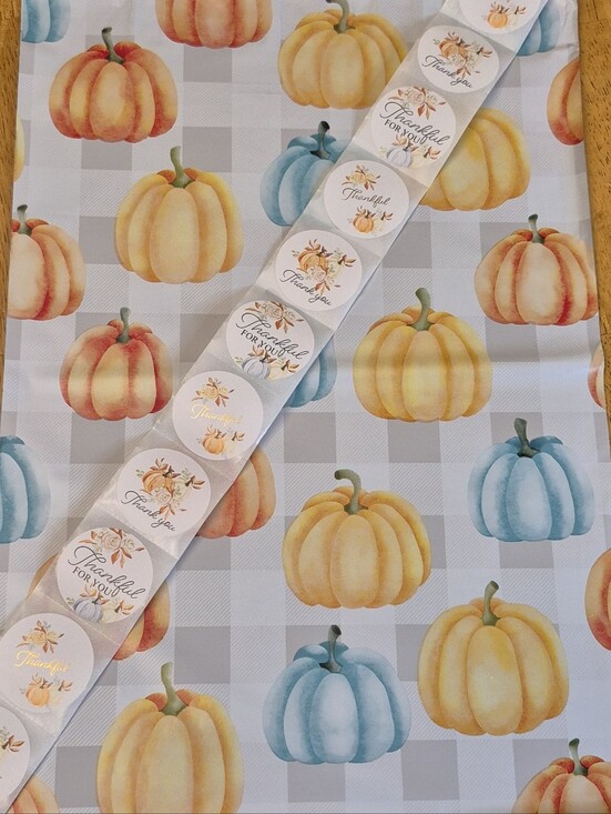 Mailers And More Other - Poly Mailer Set Pumpkins 20 (10x13) & 20 Stickers Thankful For You Fall Autumn